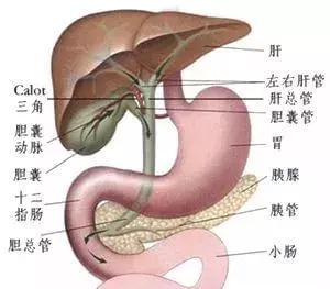 2_看图王(1).jpg