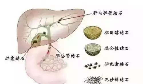 4_看图王(1).jpg