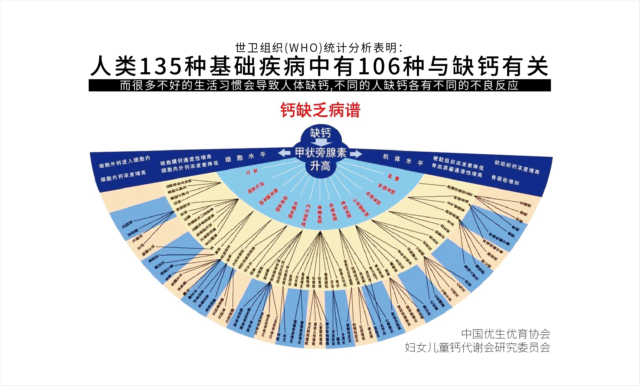 天门冬氨酸钙_106种疾病与缺钙有关